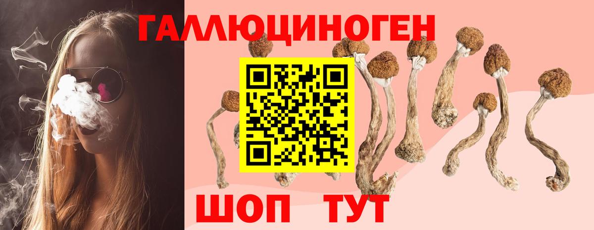 Галлюциногенные грибы мицелий  Галлюциногенные грибы Psilocybine cubensis  Шахты  Вход с VPN 